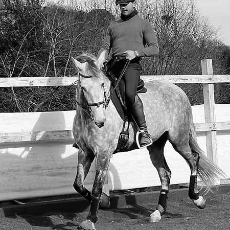 Al Felcino Couette-café Fabro