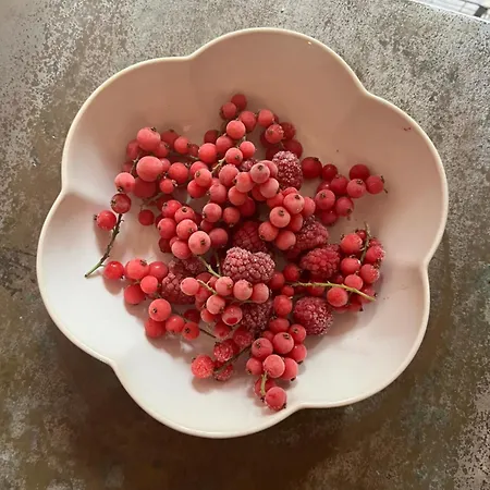 Al Felcino Bed and breakfast Fabro