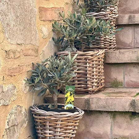 Couette-café Al Felcino Fabro