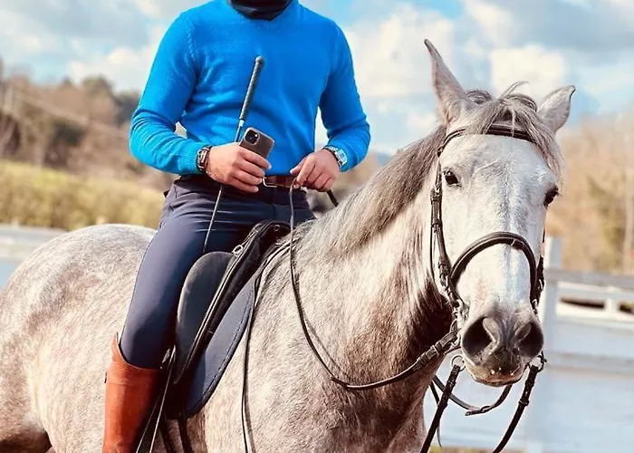 Al Felcino Alojamento de Acomodação e Pequeno-almoço Fabro