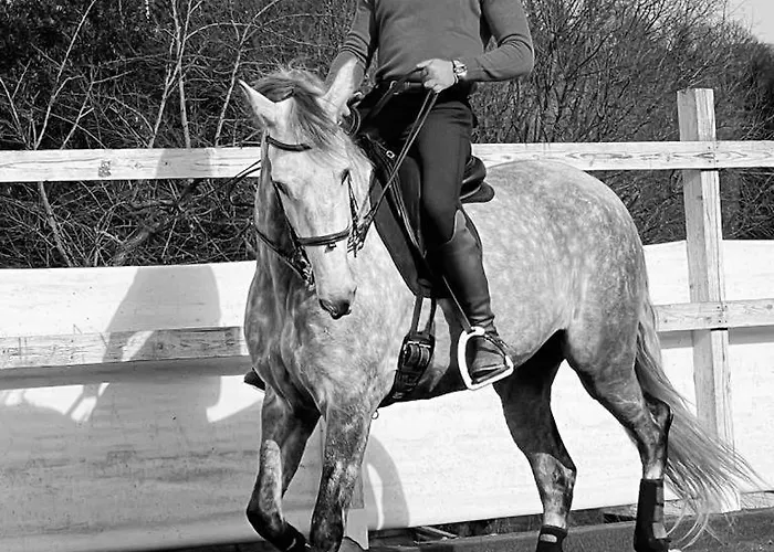 Al Felcino Alojamento de Acomodação e Pequeno-almoço Fabro