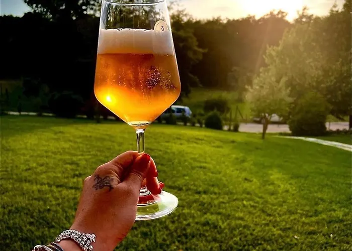 Alojamento de Acomodação e Pequeno-almoço Al Felcino