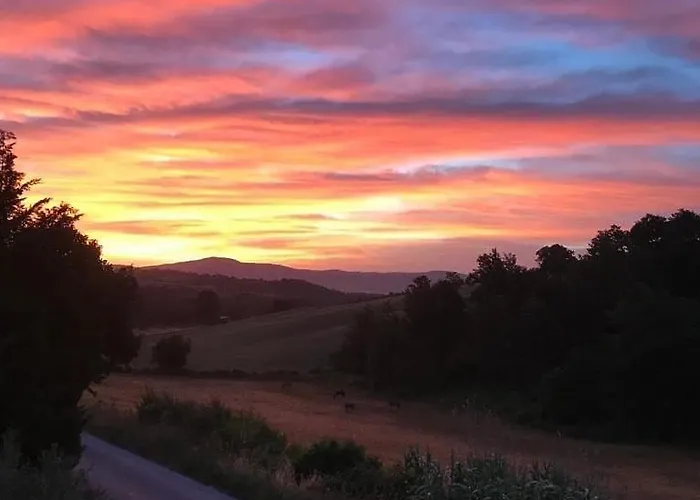Al Felcino Alojamento de Acomodação e Pequeno-almoço 3*
