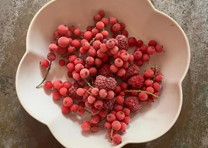 Al Felcino Alojamento de Acomodação e Pequeno-almoço Fabro