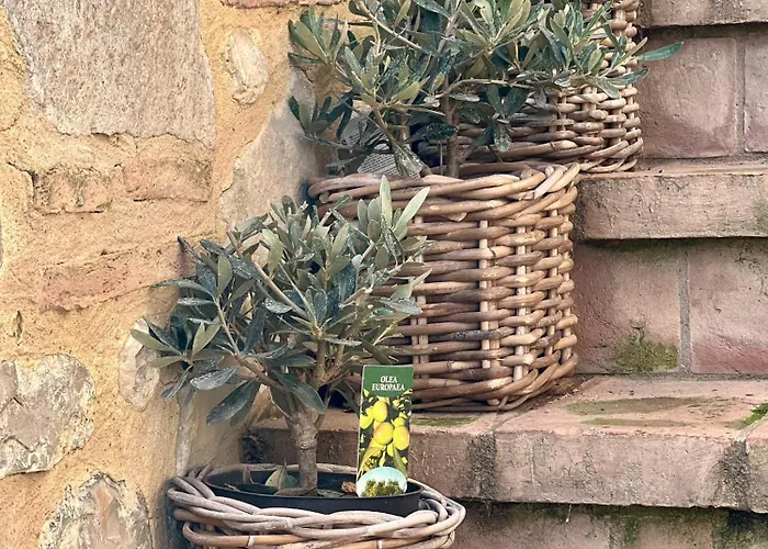 Alojamento de Acomodação e Pequeno-almoço Al Felcino Fabro